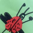 Kindergartenstart Schuljahr 2026/2027 