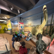 Exkursion der Stufe Gelb ins Sauriermuseum